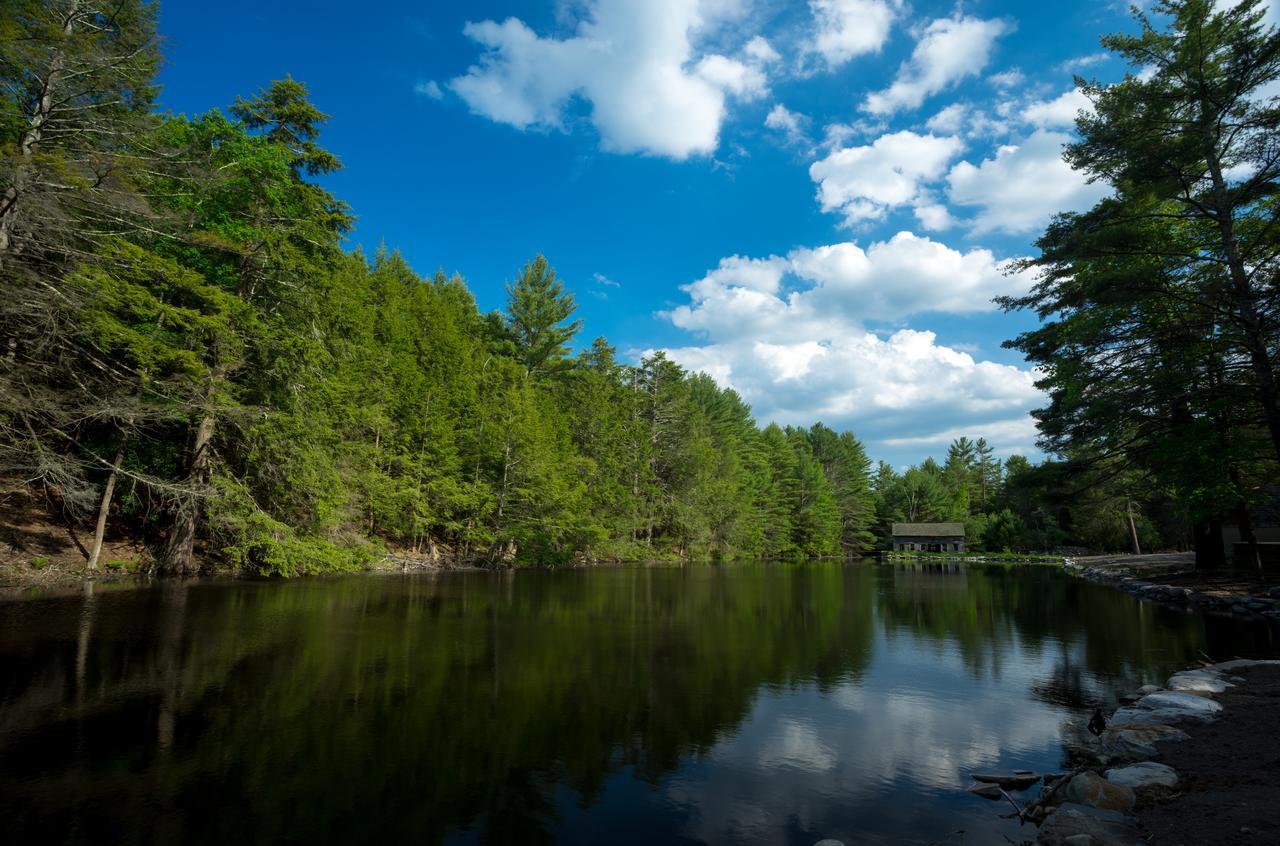 The Cottage In The Pines Cahoonzie Екстер'єр фото
